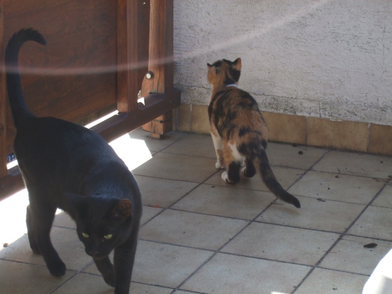 Ostern 2007 Orleshausen 051 